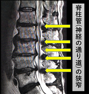 62188334-5fe6-48d1-8d72-36d5c2089faf